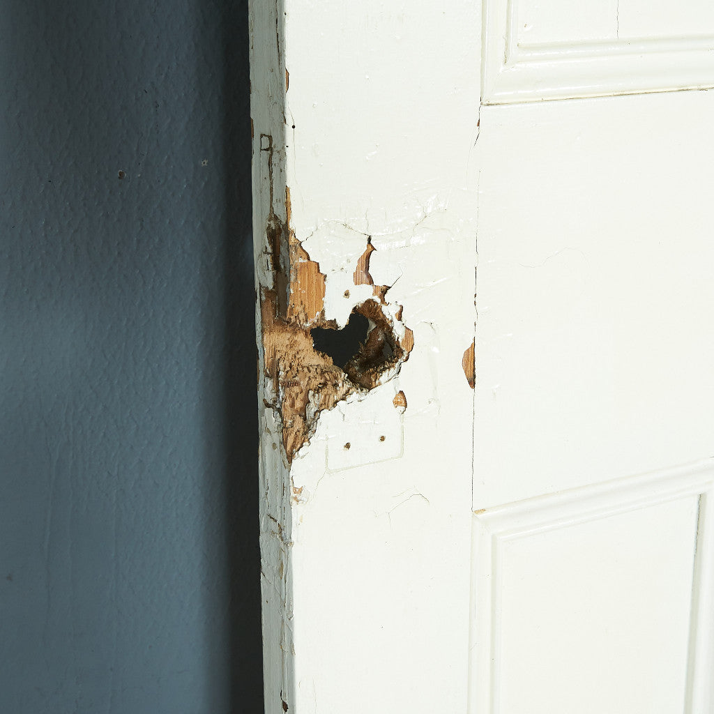 英国アンティーク ペインテッド ウッドドア