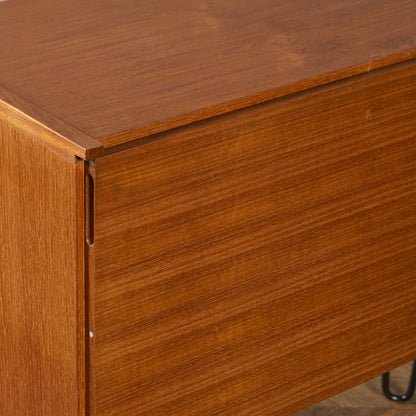 ヴィンテージ キャビネット カスタム アイアン ヘアピンレッグ