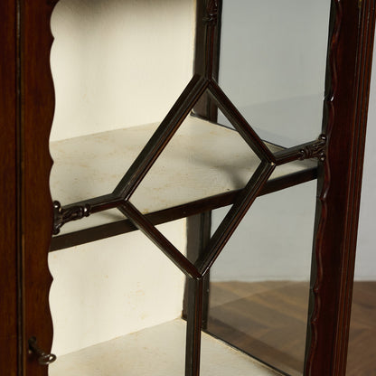 英国クラシック キュリオケース #97265