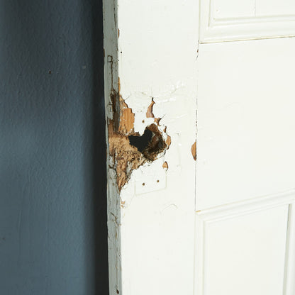 英国アンティーク ペインテッド ウッドドア