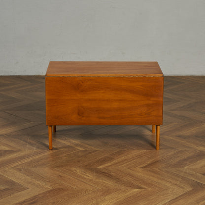 アバロン AVALON ヴィンテージ バタフライ コーヒーテーブル センターテーブル #89949