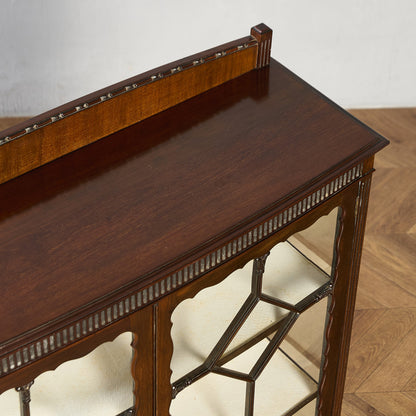 英国クラシック キュリオケース #97265