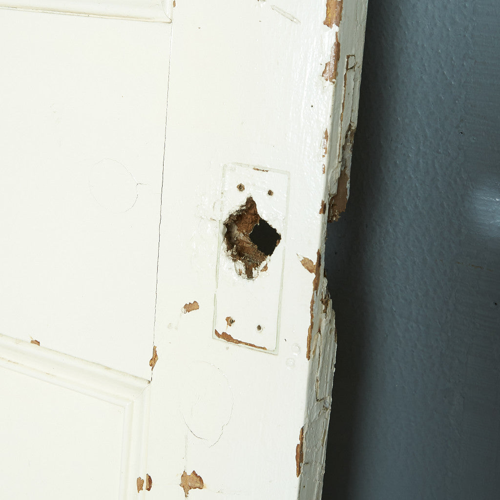 英国アンティーク ペインテッド ウッドドア