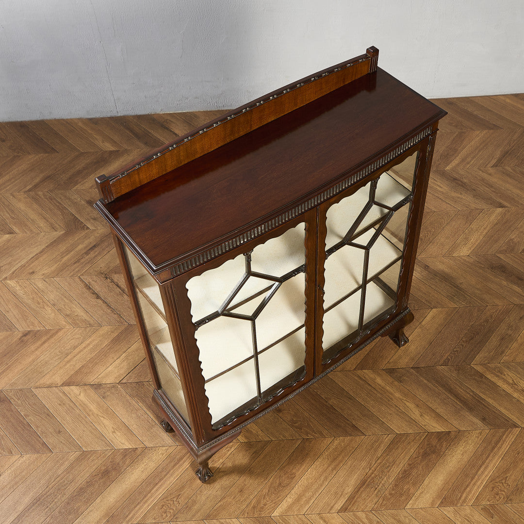 英国クラシック キュリオケース #97265