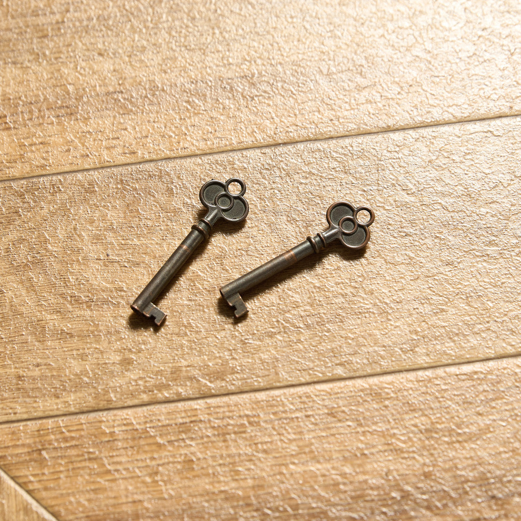 英国 クラシック エドワーディアン ブックケース