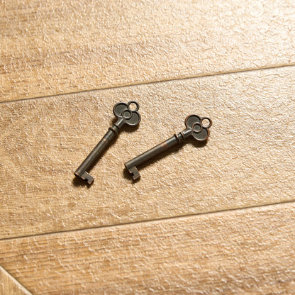 英国 クラシック エドワーディアン ブックケース