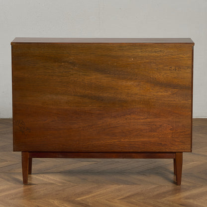 ヴィンテージ ブックケース