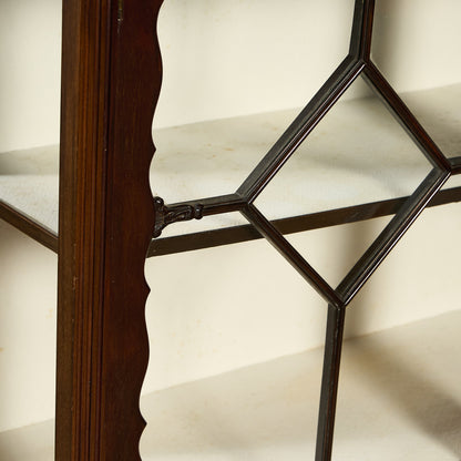 英国クラシック キュリオケース #97265