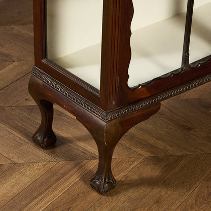 英国クラシック キュリオケース #97265