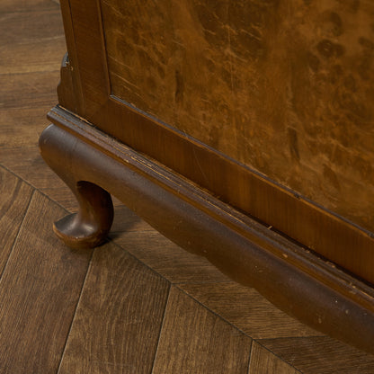 Cameo Furniture キュリオケース #90006