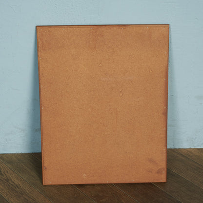 イギリスヴィンテージ ウォールミラー