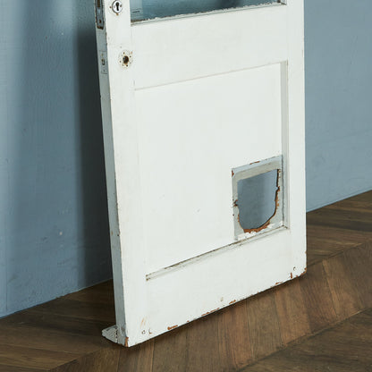 英国アンティーク ペインテッド ウッドドア